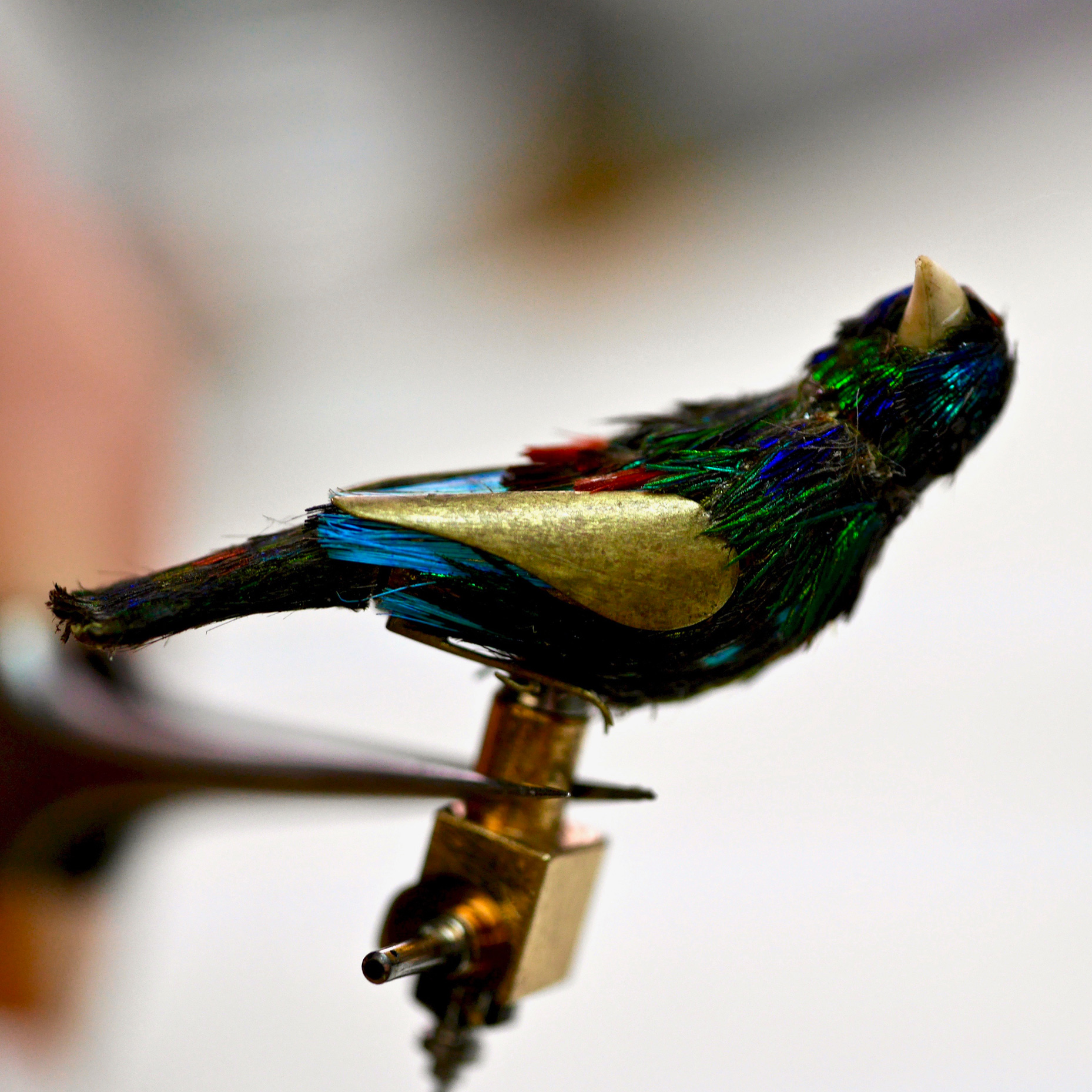 Close-up of a small bird from a music box