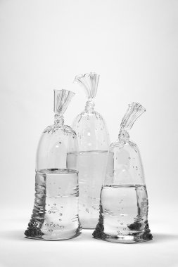 Dylan Martinez Glass Water Bags