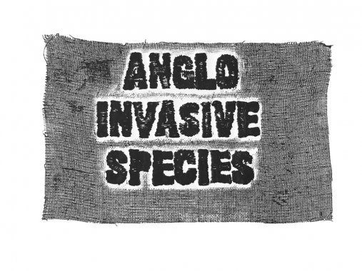 Bukola Koiki Anglo Invasive Species