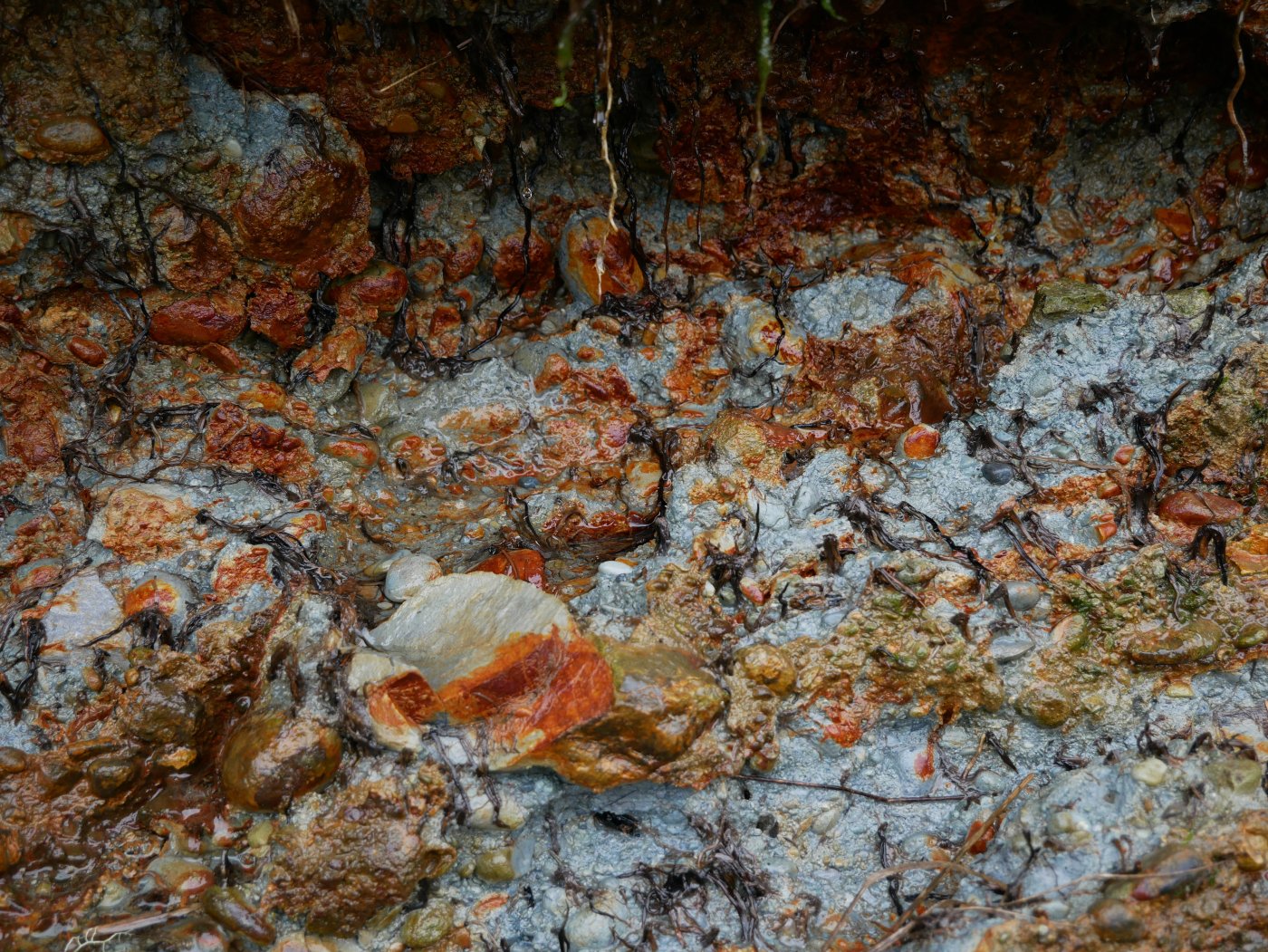 Image of ochre-rich clays on the banks of the Salmon River.