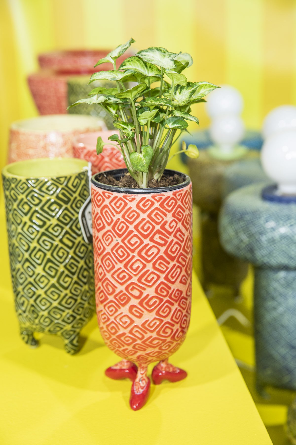 Multiple footed planters with swirly patterns and plants displayed.