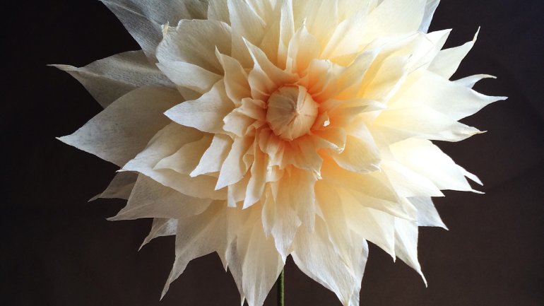 Kate Alarcón's paper flower