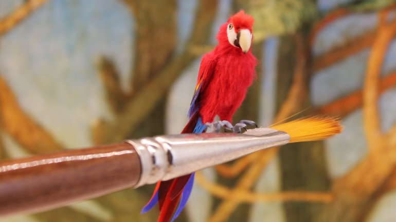 Katie Doka, Scarlet Macaw