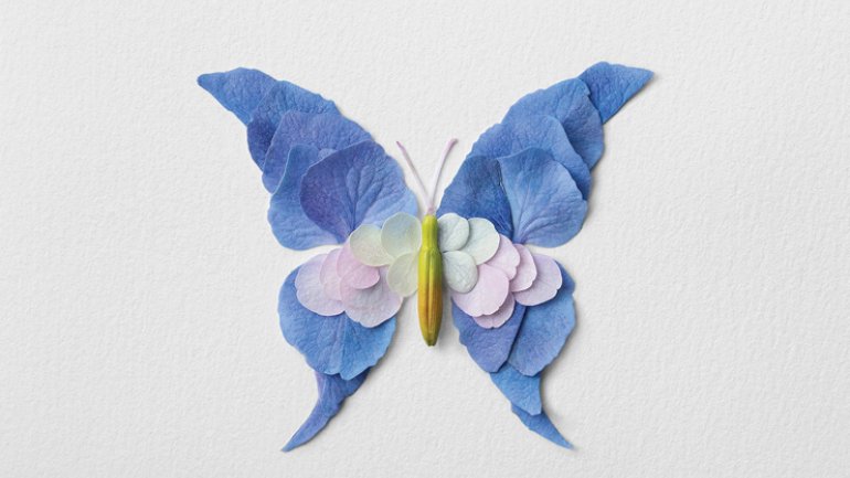 Raku Inoue, Blue Butterfly