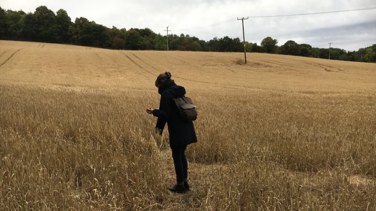 Amara Hark-Weber at The Balvenie barley fields