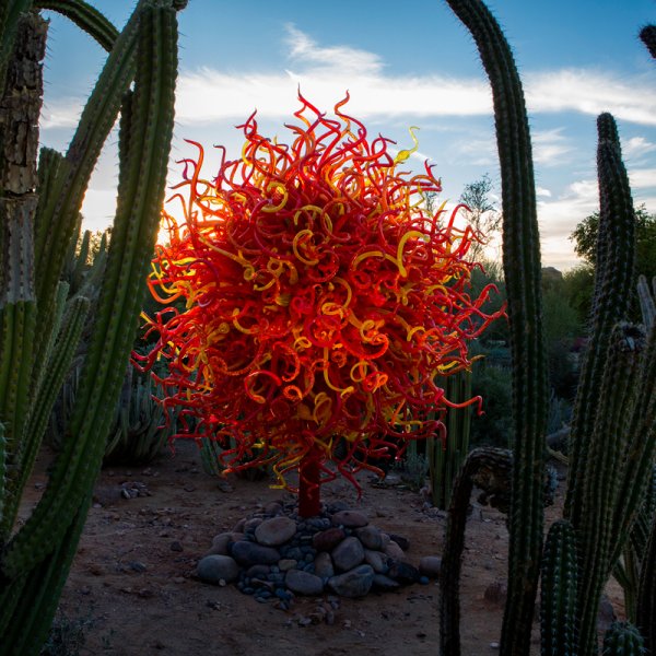 Red and orange glass sculpture exhibited in a desert among cacti