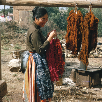 Alice Kagawa Parrott drying yarn