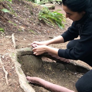 Artist Ashwini Bhat making a clay imprint of tree roots in Armstrong Redwoods Reserve in Sonoma, California